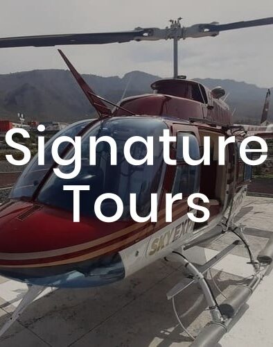 signature-home-slide-texto